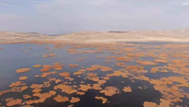 Van’da tarih ve doğa buluşması
