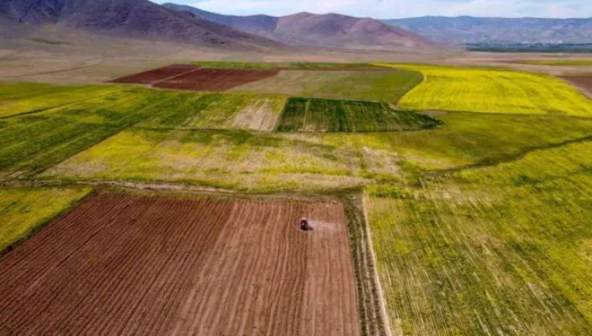 Van’da açık artırmayla arsa satılacak