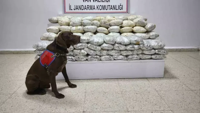 Başkale’de 60 kilo uyuşturucu ele geçirildi