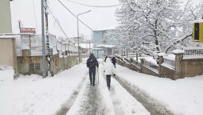 Van'ın 2 ilçesinde 11 yerleşim yeri kar nedeniyle ulaşıma kapandı