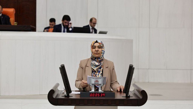 Van Milletvekili Varlı, kentteki hayvancılık krizini meclise taşıdı