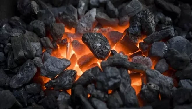 Van'da kömür ve odun fiyatları ne kadar?