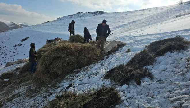 Erciş'te asırlık kış mesaisi