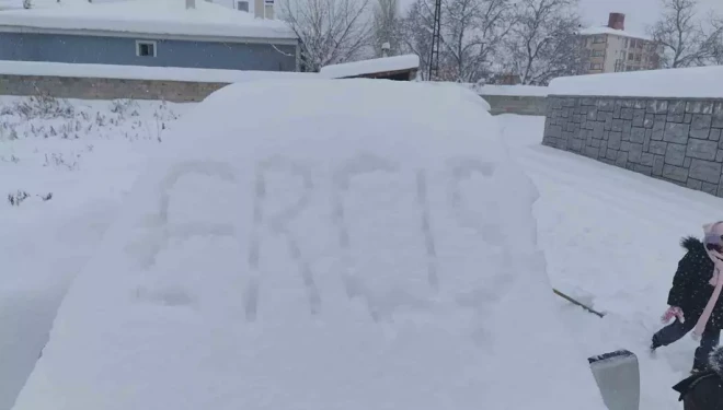 Erciş’te yoğun kar yağışı hayatı felç etti
