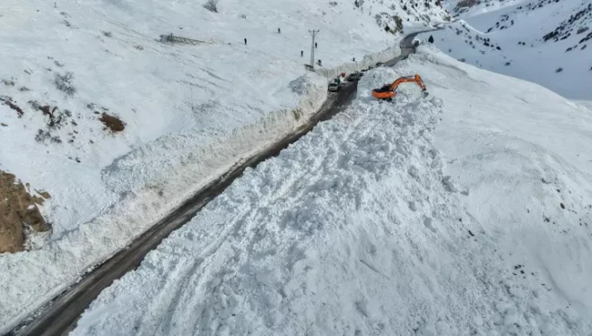 Çığ nedeniyle kapanan Van-Çatak kara yolunda...