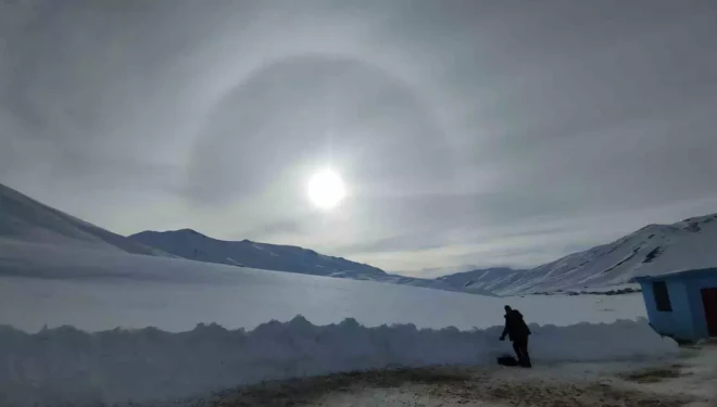 Artan kuduz vakalarına karşı aşılama ve bilgilendirme yapıldı