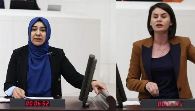 DEM Partili vekiller, Van'daki cinsel taciz olayını Meclis'e taşıdı