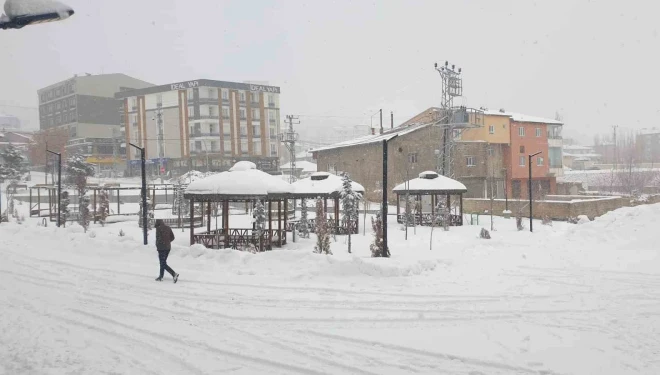 Başkale’de 19 yerleşim yerinin yolu ulaşıma kapandı