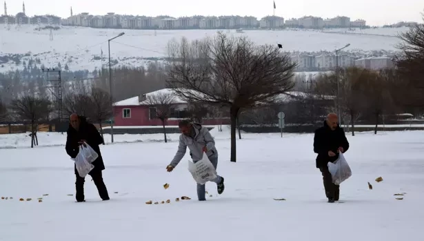 Ercişli fırıncı, sokak hayvanları ve kuşlar için doğaya yiyecek bıraktı