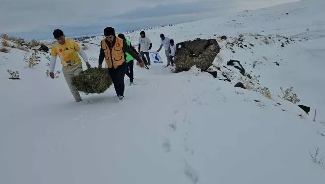 Vangölü Aktivistleri’nden yaban hayvanları için çağrı
