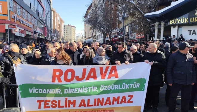 Van'da Suriye'de yaşananlara ilişkin basın açıklaması yapıldı