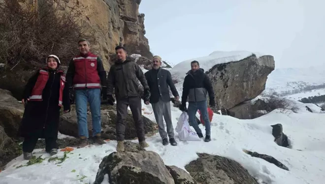 Muradiye’de yaban hayvanları için doğaya yem bırakıldı