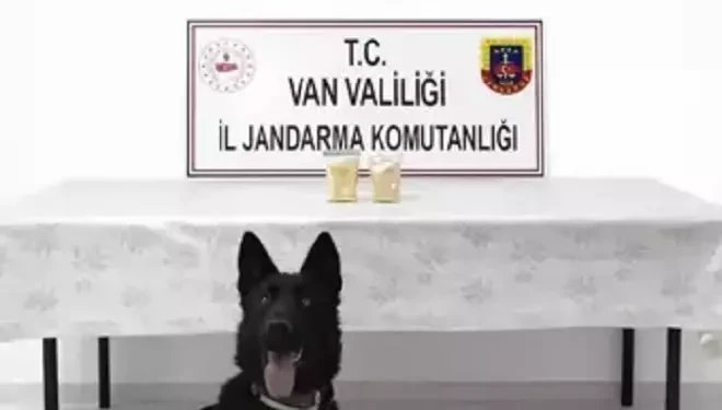 Van'da İran uyruklu yolcu, 510 gram eroin ile yakalandı