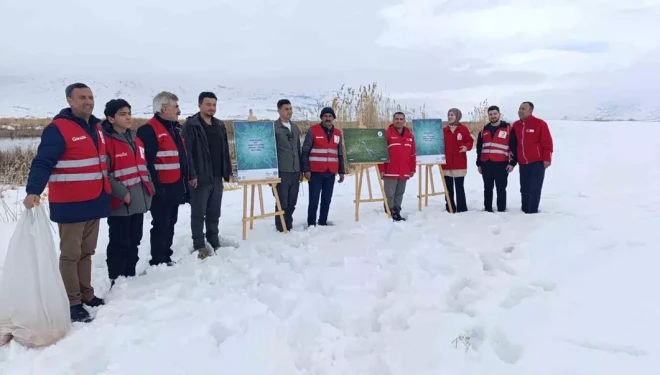 Van’da yaban hayvanları