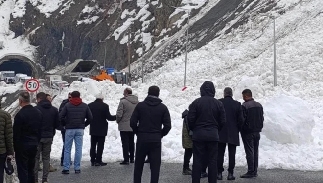 Hakkari-Van kara yoluna çığ düştü