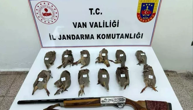 Van’da keklik avlayan kişiye 81 bin TL ceza