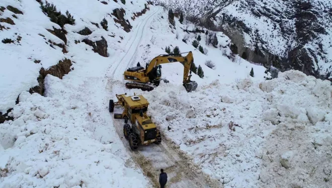 Çatak’ta çığın kapattığı mezra yolu 13 gün sonra açıldı