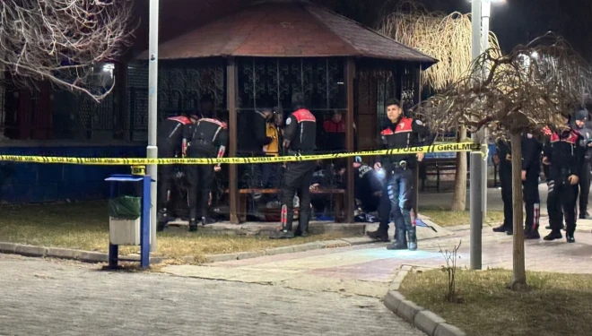 Van'da Musa Anter parkında silah sesleri: Bir genç ağır yaralandı!