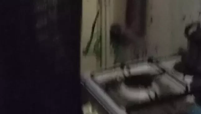 Van’da ev yangını