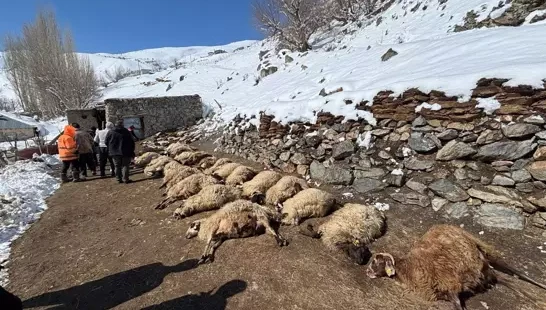 Van'da ahırda çıkan yangında
