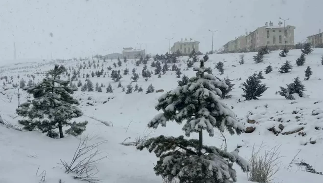 Van’da mart ayı kapıdan baktırdı: Kar yağışı ulaşımı durdurdu