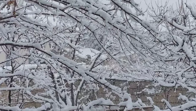 Erciş beyaza büründü