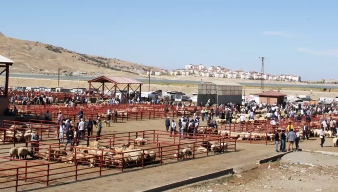 Başkan Süer: “Turizmden ticarete uzanan zincir hayvancılığı da etkiliyor”