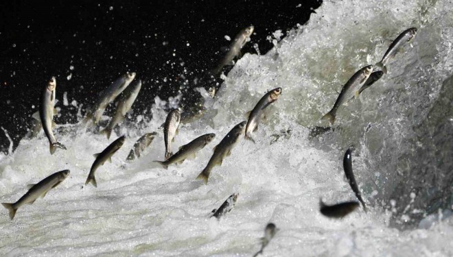 Van Gölü Havzası’nın doğusundaki