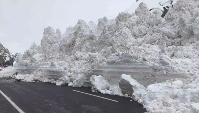 Van - Hakkari karayoluna çığ düştü