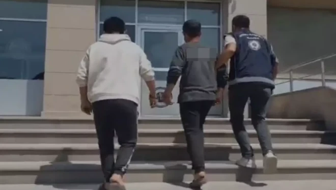 Van’da bir organizatör tutuklandı