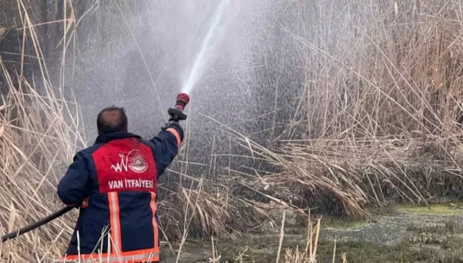 Van’da sazlık alanda yangın