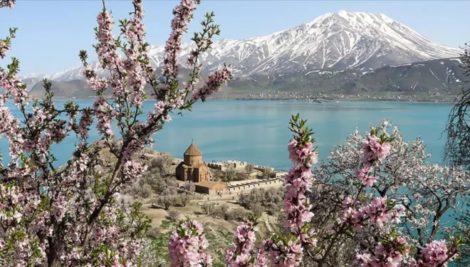 Van’da Badem Çiçeği Festivali'nin düzenleneceği tarih netleşti