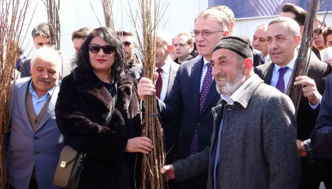 Van’da 5 yılda 4 buçuk milyon fidan toprakla buluşturuldu
