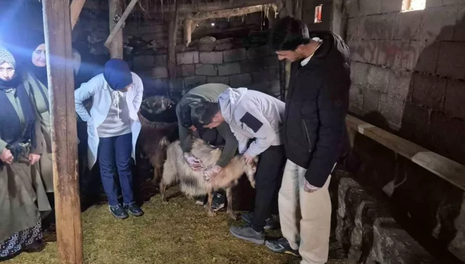 Özalp’te çiftçilere yönelik eğitim seferberliği başlatıldı