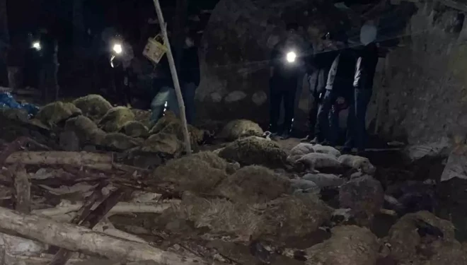 Van’da ahır çöktü