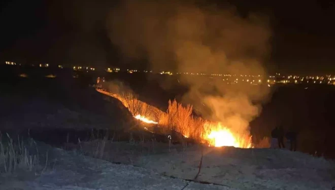 Van’da sazlık alanda yangın çıktı