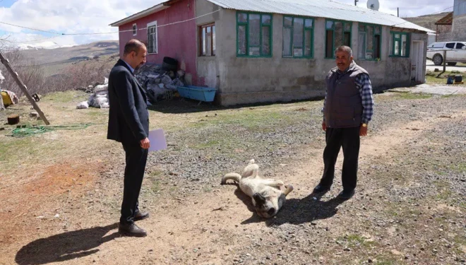 Tuşba Belediyesi’nden