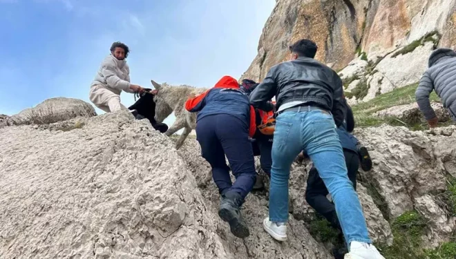 Van’da kayalıklarda mahsur kalan eşek kurtarıldı