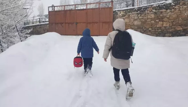 Van’da 93 yerleşim yerinin yolu kapandı