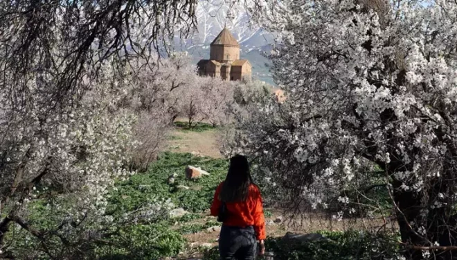 4. Akdamar Badem Çiçeği Festivali "Foto Safari" başladı