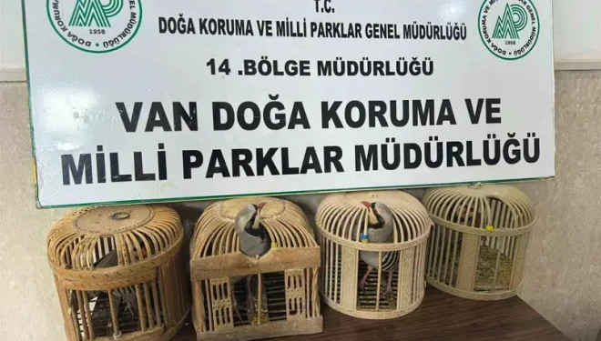 Van’da keklik avlayan şahsa 86 bin 278 lira para cezası