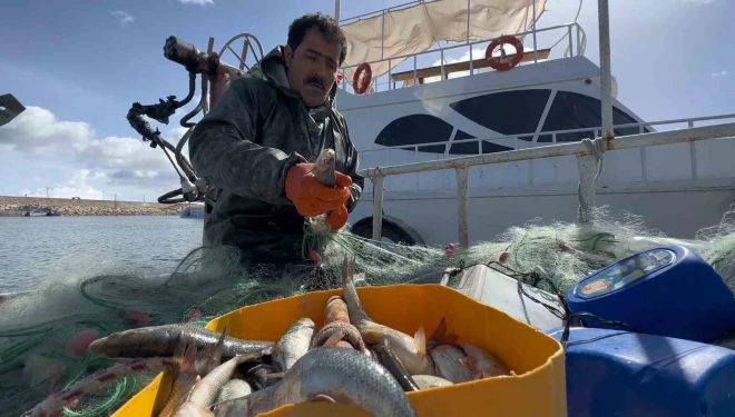 Van Gölü’nde inci kefali için av yasağı