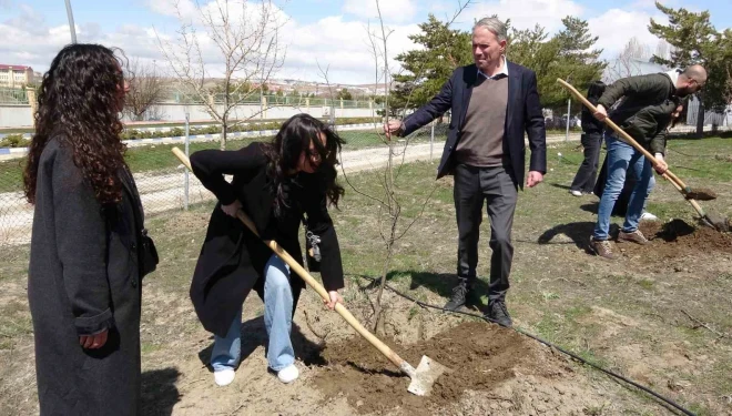 Van’da geleceğin diplomatları