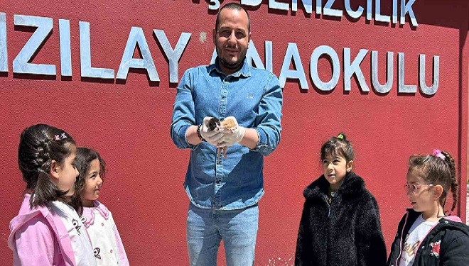 Anaokulunun misafiri ‘Fındık’ 6 yavru dünyaya getirdi