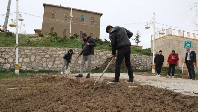 Eski Van Evleri yenileniyor