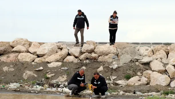 İnci kefalinin üreme göçüne sıkı takip