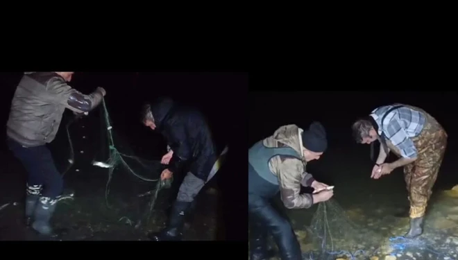Van'da kaçak avlanan 100 kilo canlı inci kefali tekrar suya bırakıldı