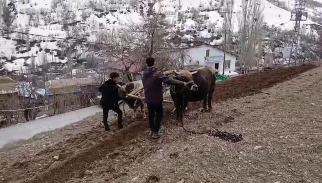 Bahçesaray’da traktörün giremediği