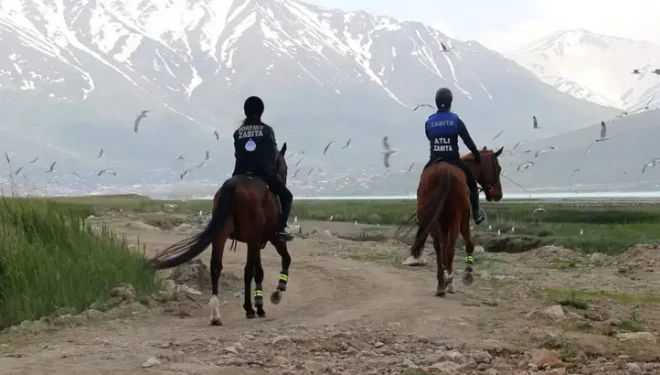 Van'da atlı, araçlı ve dron destekli