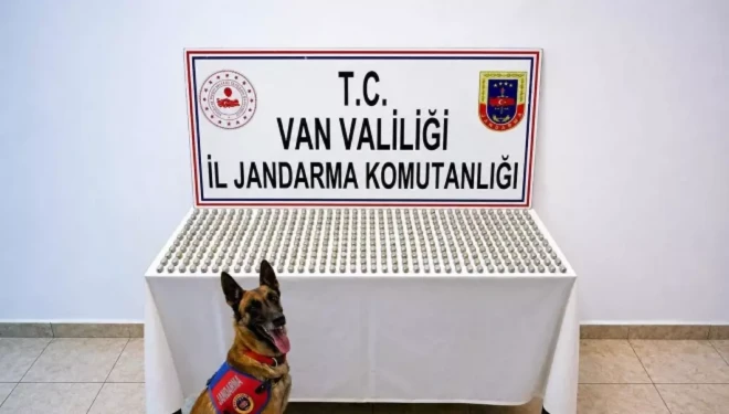 Van’da 8 İranlı’nın midesinde 3 kilo esrar ele geçirildi